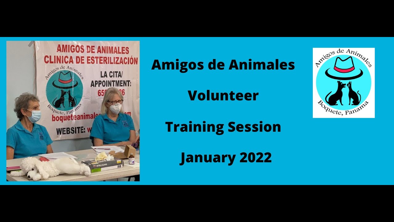 Amigos de Animales Boquete mobile van in action